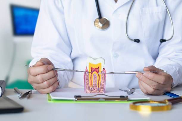 Best Emergency Wisdom Teeth Removal in Fowler, MI